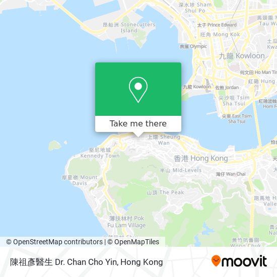 陳祖彥醫生 Dr. Chan Cho Yin地圖