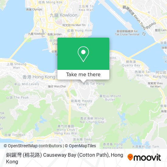 銅鑼灣 (棉花路) Causeway Bay (Cotton Path)地圖