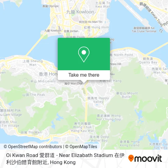 Oi Kwan Road 愛群道 - Near Elizabath Stadium 在伊利沙伯體育館附近地圖