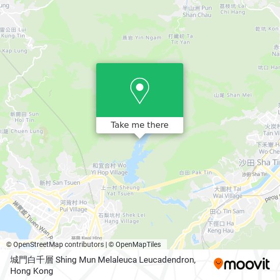 城門白千層 Shing Mun Melaleuca Leucadendron map