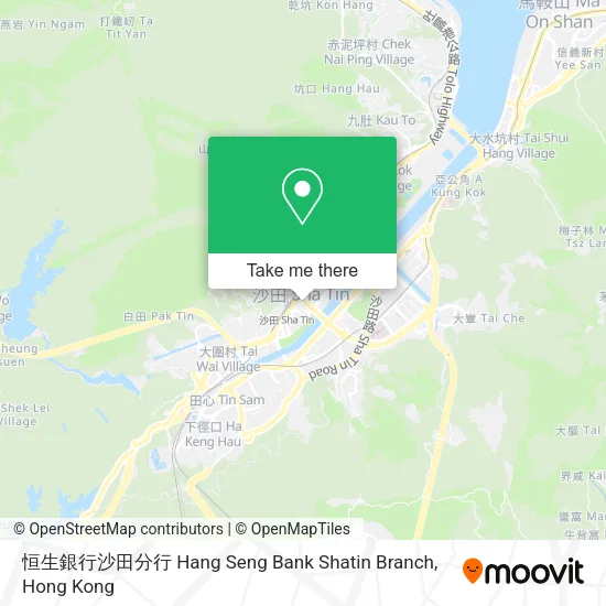 恒生銀行沙田分行 Hang Seng Bank Shatin Branch地圖