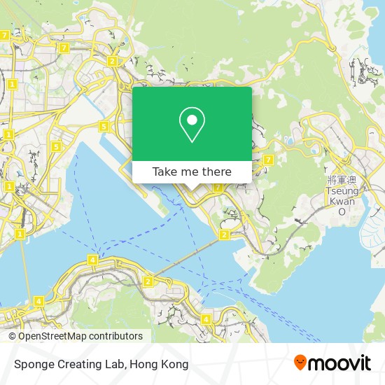 Sponge Creating Lab map