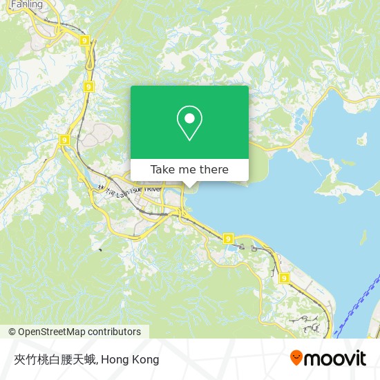 How To Get To 夾竹桃白腰天蛾in 大埔tai Po By Bus Or Subway