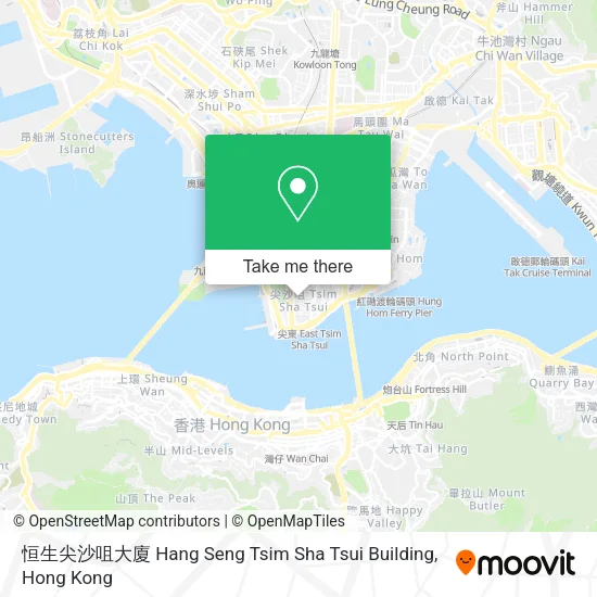 恒生尖沙咀大廈 Hang Seng Tsim Sha Tsui Building地圖
