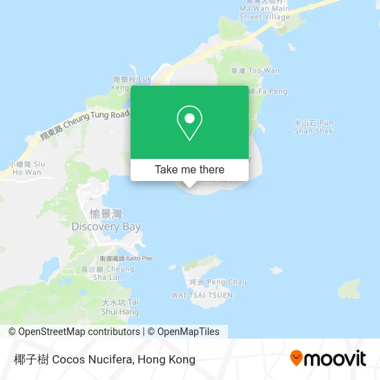 椰子樹 Cocos Nucifera map