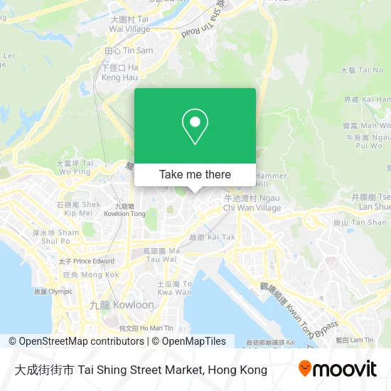 大成街街市 Tai Shing Street Market map