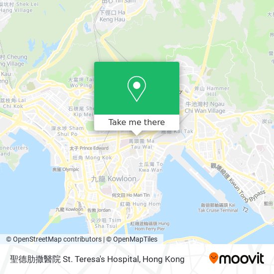 聖德肋撒醫院 St. Teresa's Hospital map