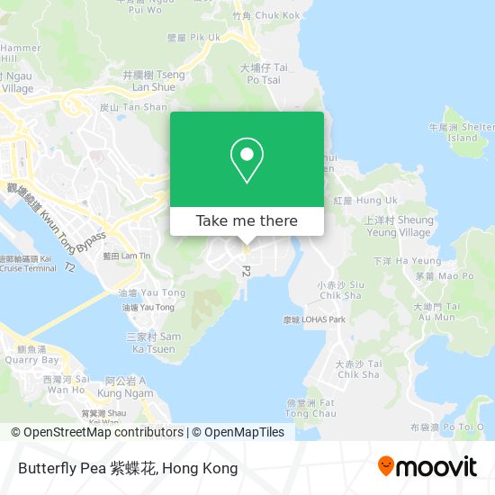 Butterfly Pea 紫蝶花 map