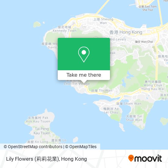 Lily Flowers (莉莉花業) map