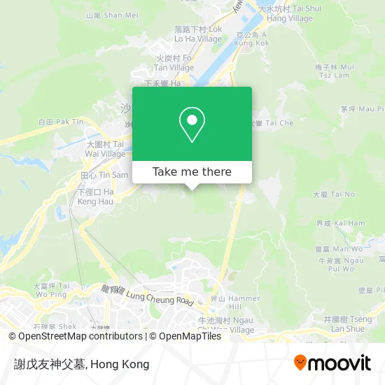 謝戊友神父墓 map