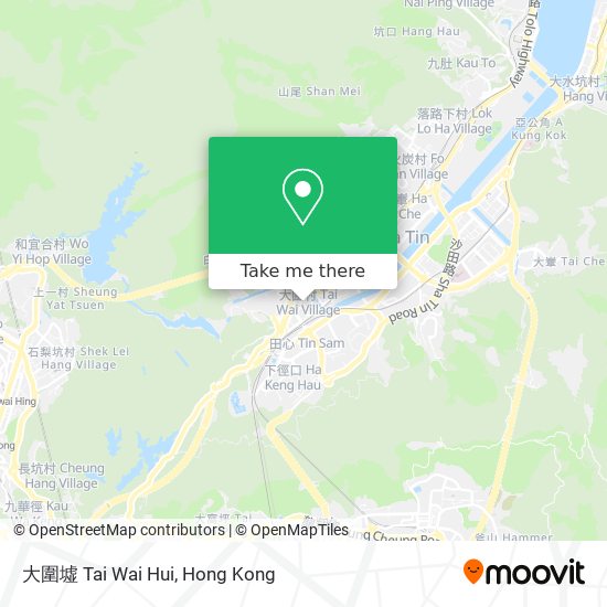 大圍墟 Tai Wai Hui地圖