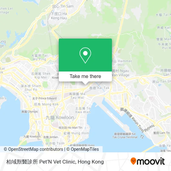 柏域獸醫診所 Pet’N Vet Clinic map