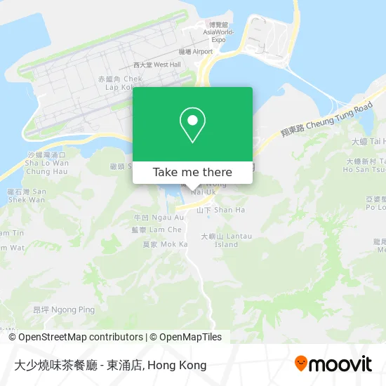 大少燒味茶餐廳 - 東涌店 map