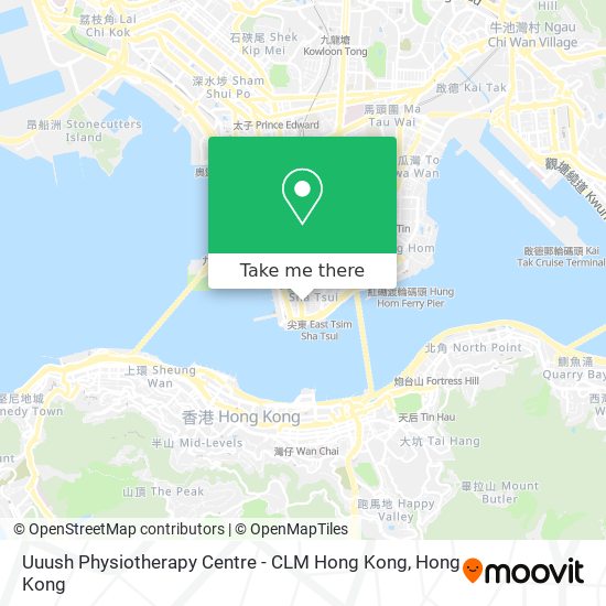Uuush Physiotherapy Centre - CLM Hong Kong map