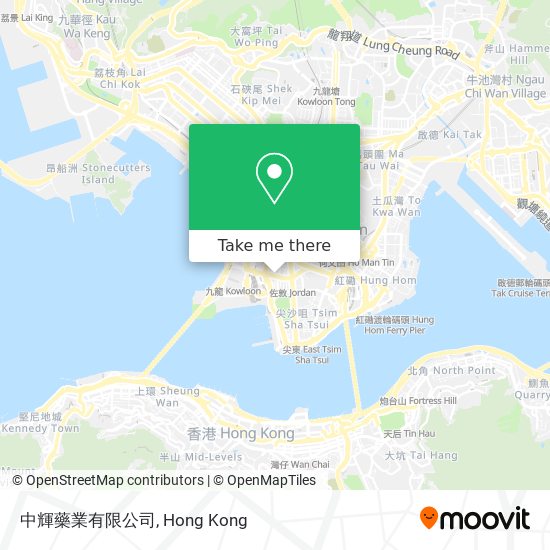 中輝藥業有限公司 map