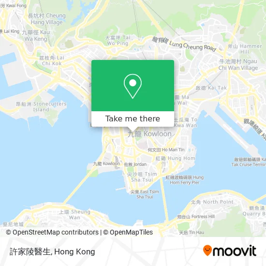 許家陵醫生 map