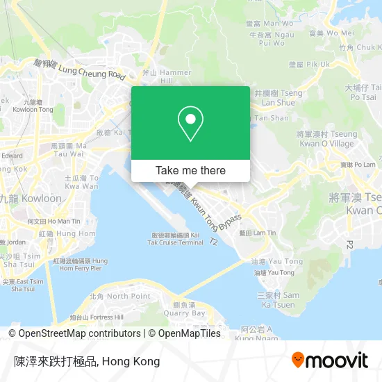 陳澤來跌打極品地圖