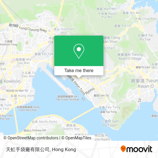 天虹手袋廠有限公司 map