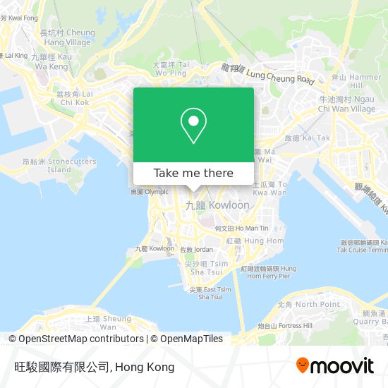 旺駿國際有限公司 map