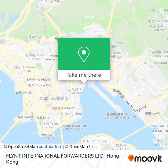 FLYNT INTERNA IONAL FORWARDERS LTD. map