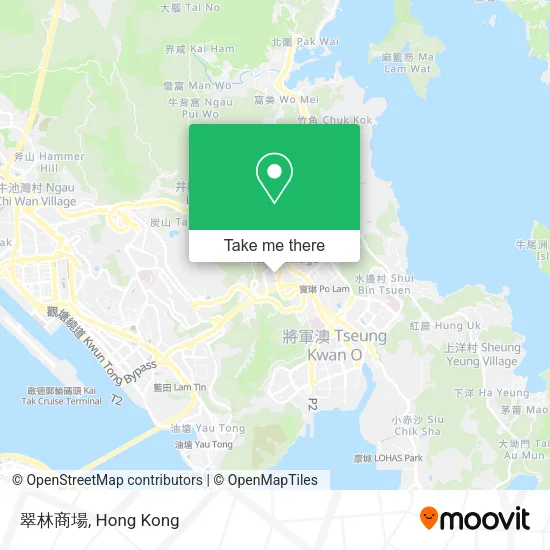 翠林商場 map