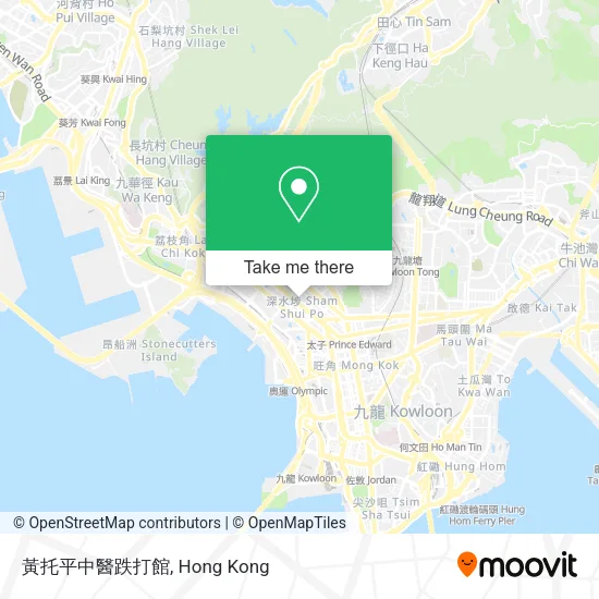 黃托平中醫跌打館 map