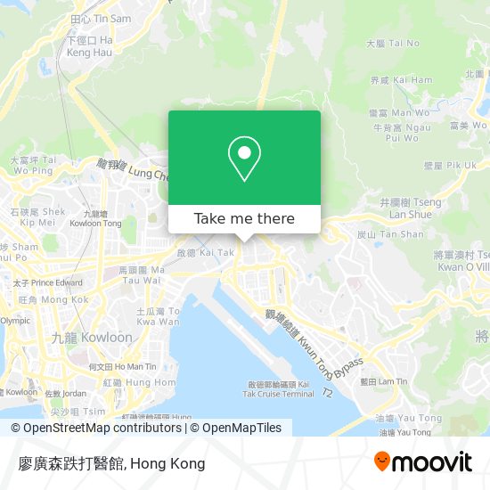 廖廣森跌打醫館 map