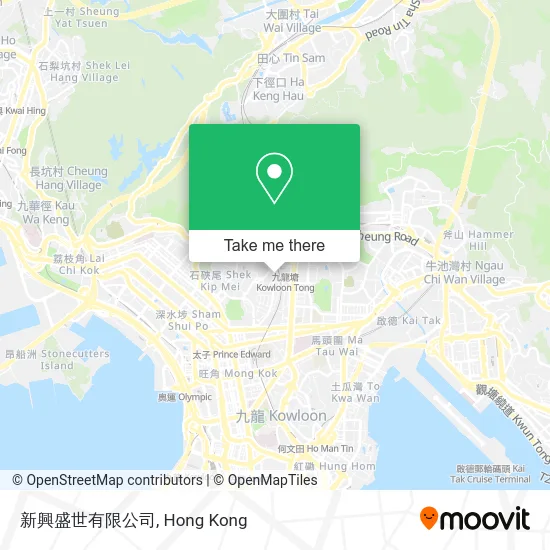 新興盛世有限公司 map