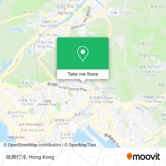 雄興打冷 map