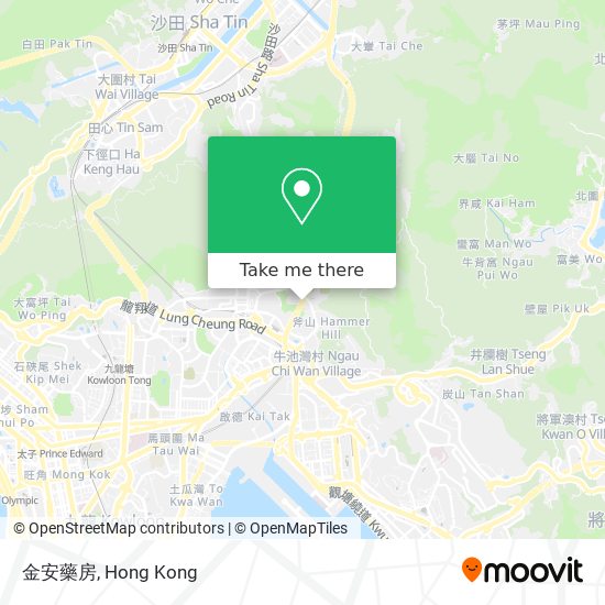 金安藥房 map