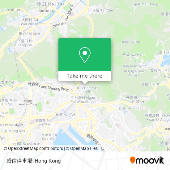 威信停車場 map