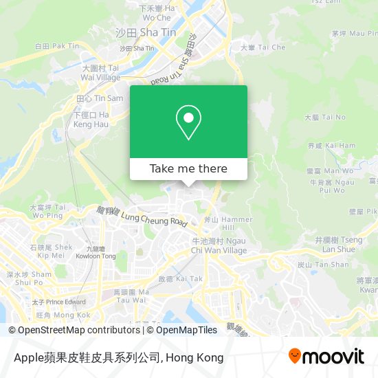 Apple蘋果皮鞋皮具系列公司 map