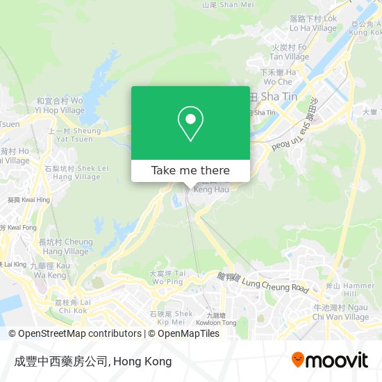 成豐中西藥房公司 map