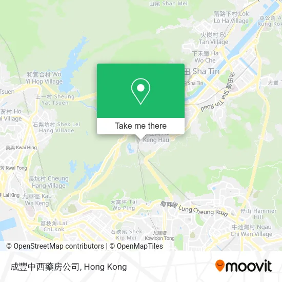 成豐中西藥房公司 map