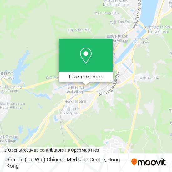 Sha Tin (Tai Wai) Chinese Medicine Centre地圖