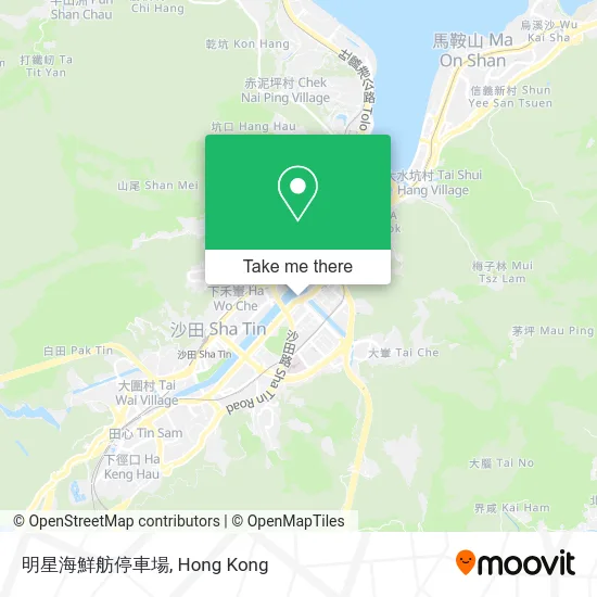 明星海鮮舫停車場 map