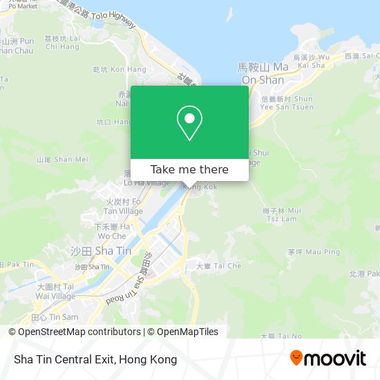 Sha Tin Central Exit map