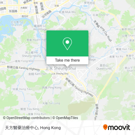 天方醫藥治療中心 map