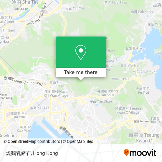 燒鵝乳豬石 map