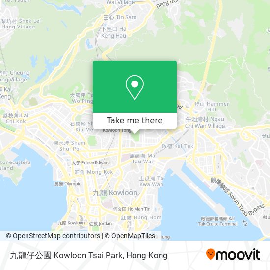 九龍仔公園 Kowloon Tsai Park地圖