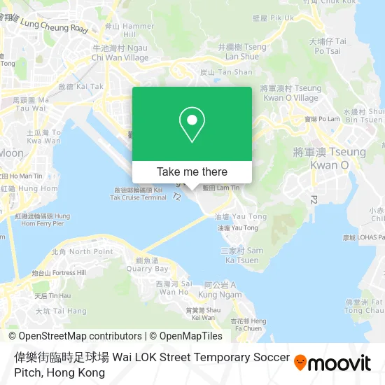 偉樂街臨時足球場 Wai LOK Street Temporary Soccer Pitch地圖