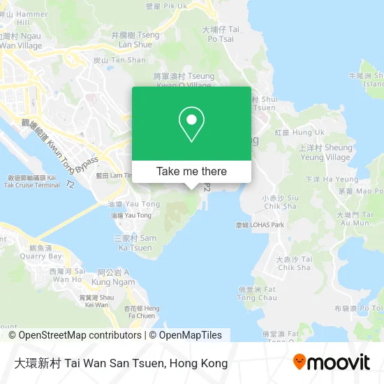 大環新村 Tai Wan San Tsuen map