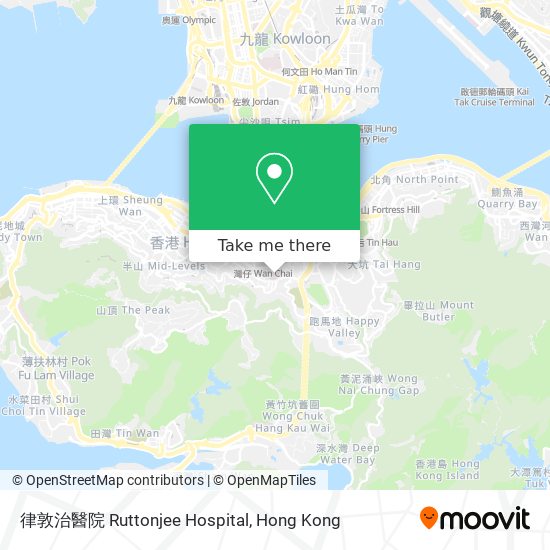 律敦治醫院 Ruttonjee Hospital地圖