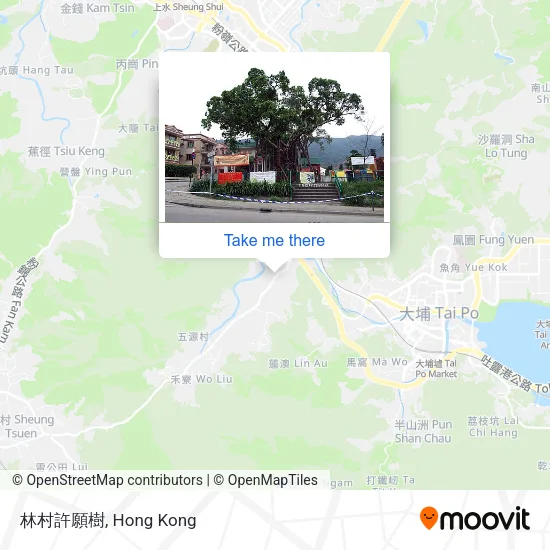 林村許願樹地圖