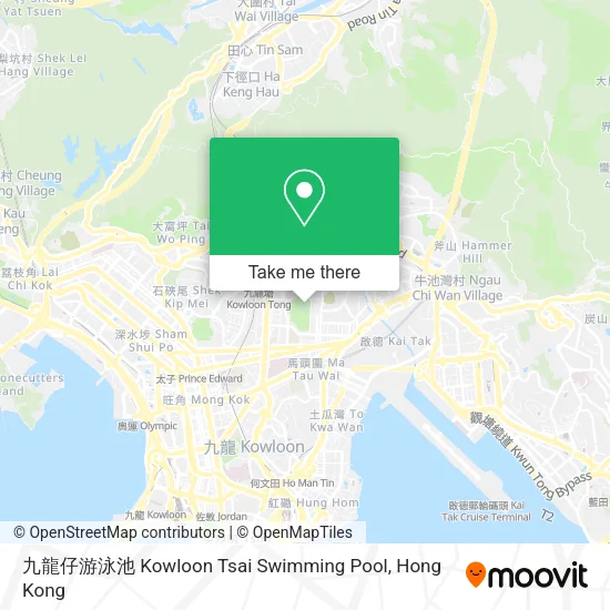 九龍仔游泳池 Kowloon Tsai Swimming Pool地圖