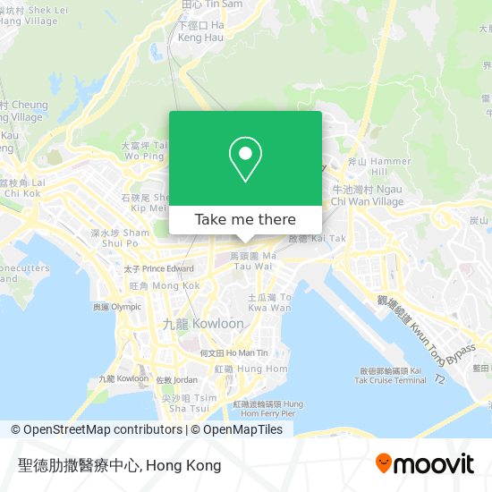 聖德肋撒醫療中心 map