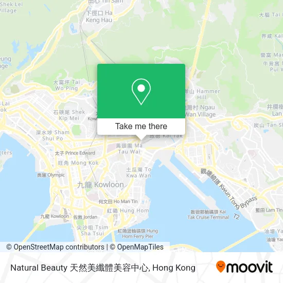 Natural Beauty 天然美纖體美容中心 map