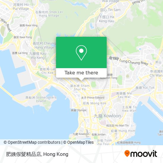 肥姨假髮精品店 map