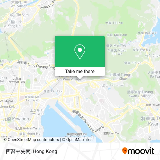 西醫林先南 map
