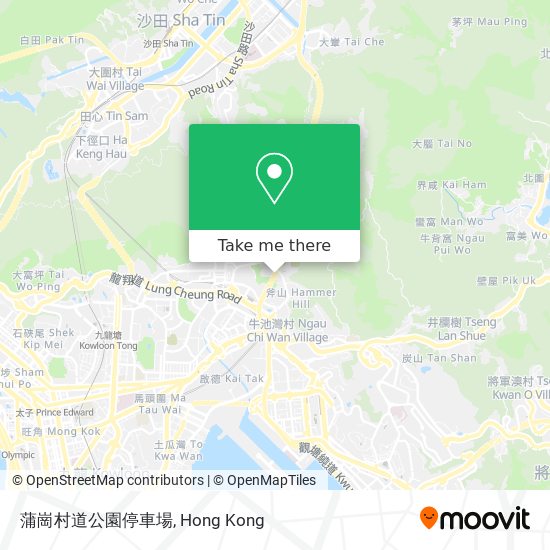 蒲崗村道公園停車場 map